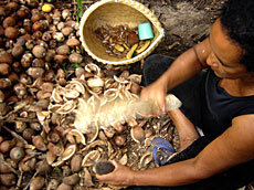 Fábio André de Campos/www.reporterbrasil.com.br