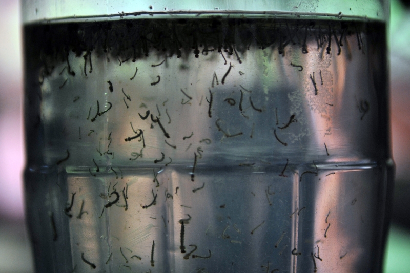 Foto: Agência Brasil