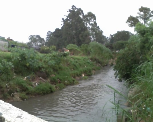 Águas poluídas nos caminhos de São Paulo