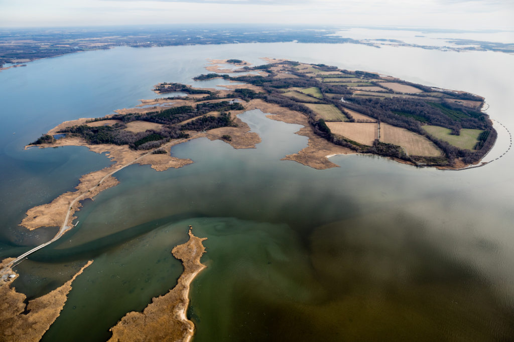 Reserva de vida silvestre no condado de Kent, em Maryland, nos Estados Unidos.
