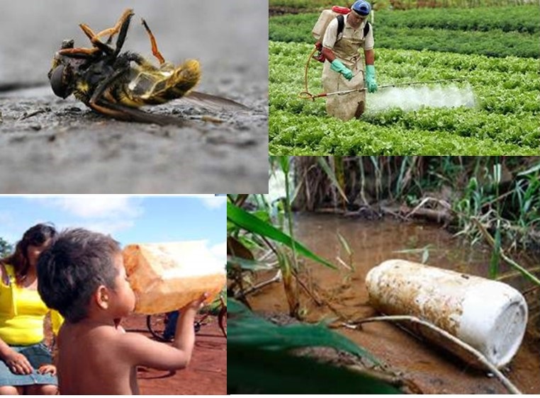 ilustração agrotóxicos