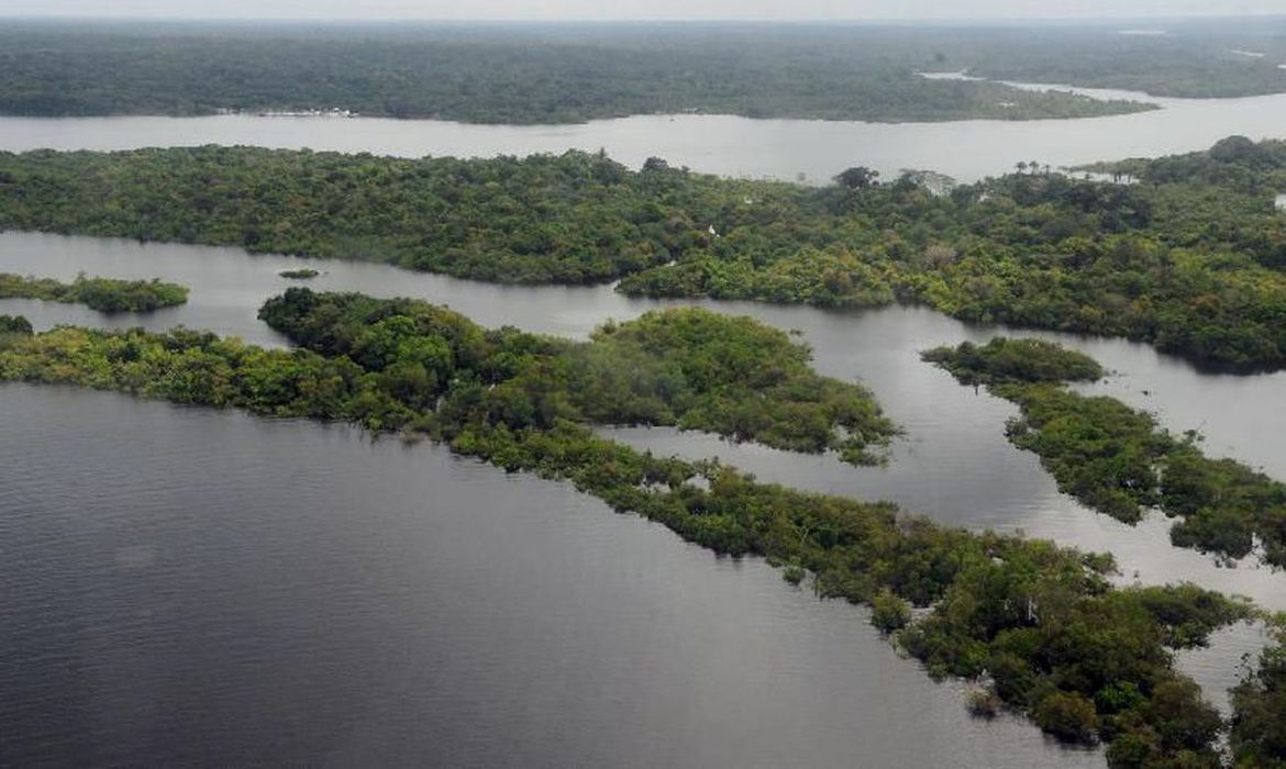 Vista aérea da floresta amazônica, mostrando ilhas verdes cercadas por águas escuras de rios na região.