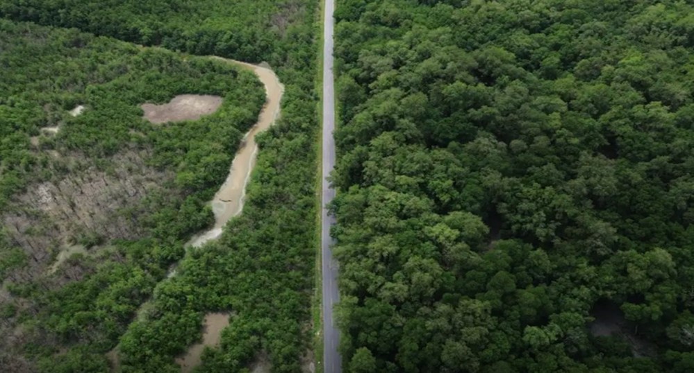Vista aérea da rodovia PA-458 no nordeste do Pará, dividindo a paisagem entre áreas de mangue e vegetação densa, mostrando o contraste entre a floresta alta e a vegetação mais baixa ao redor da estrada.