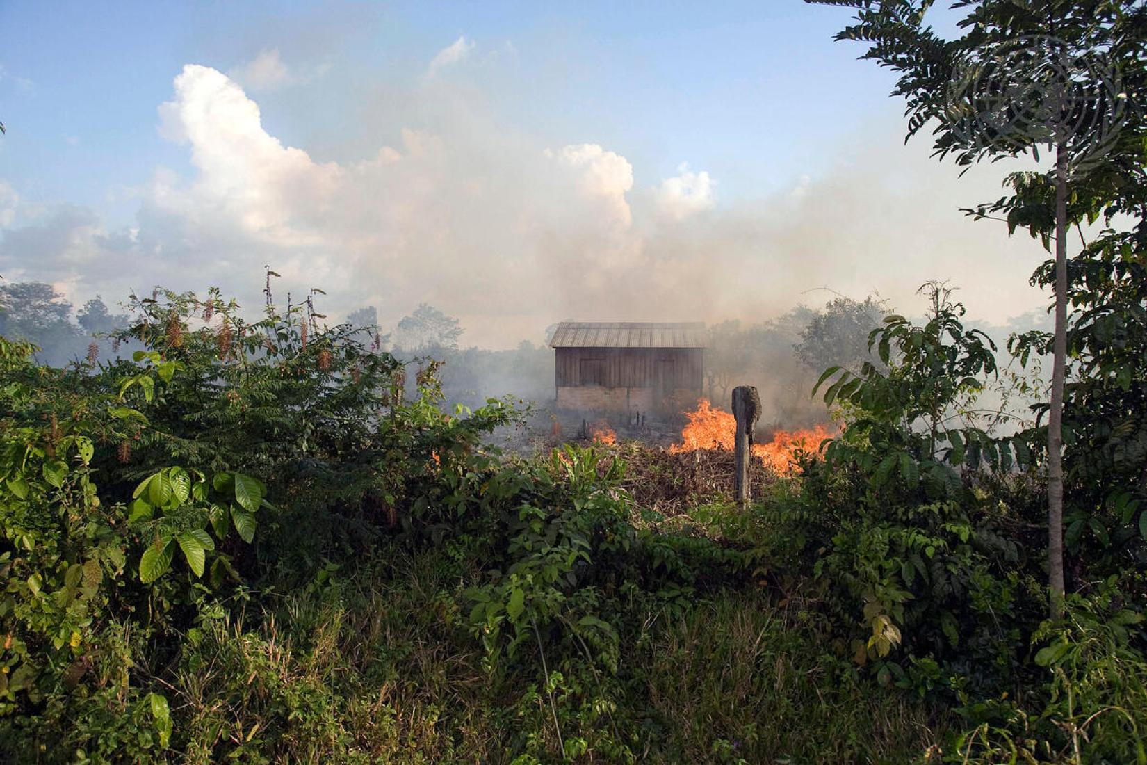 Guterres: “A poluição do ar é uma emergência global — e evitável”