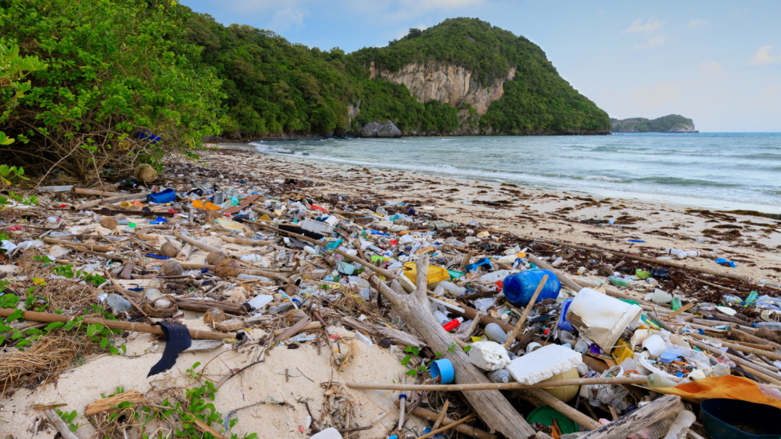 Praia coberta de lixo plástico e detritos naturais, com vegetação ao fundo e ondas ao longe.