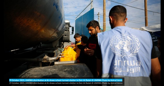 Danos ambientais na Faixa de Gaza prejudicam a saúde humana e ameaçam a segurança alimentar e hídrica a longo prazo