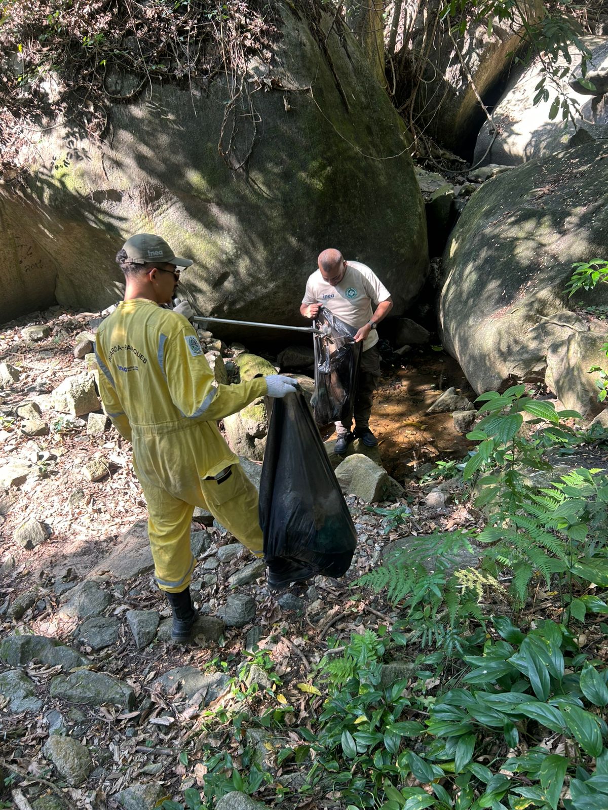 Inea promove mutirão de limpeza no Parque Estadual da Pedra Branca