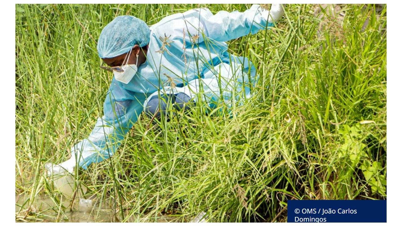 Cólera mata mais pessoas pelo segundo ano consecutivo, enquanto prevenção e tratamento disponíveis