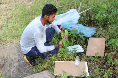 Um etnobotânico coleta plantas no campo, utilizando ferramentas como cadernos e garrafa, em um ambiente natural.