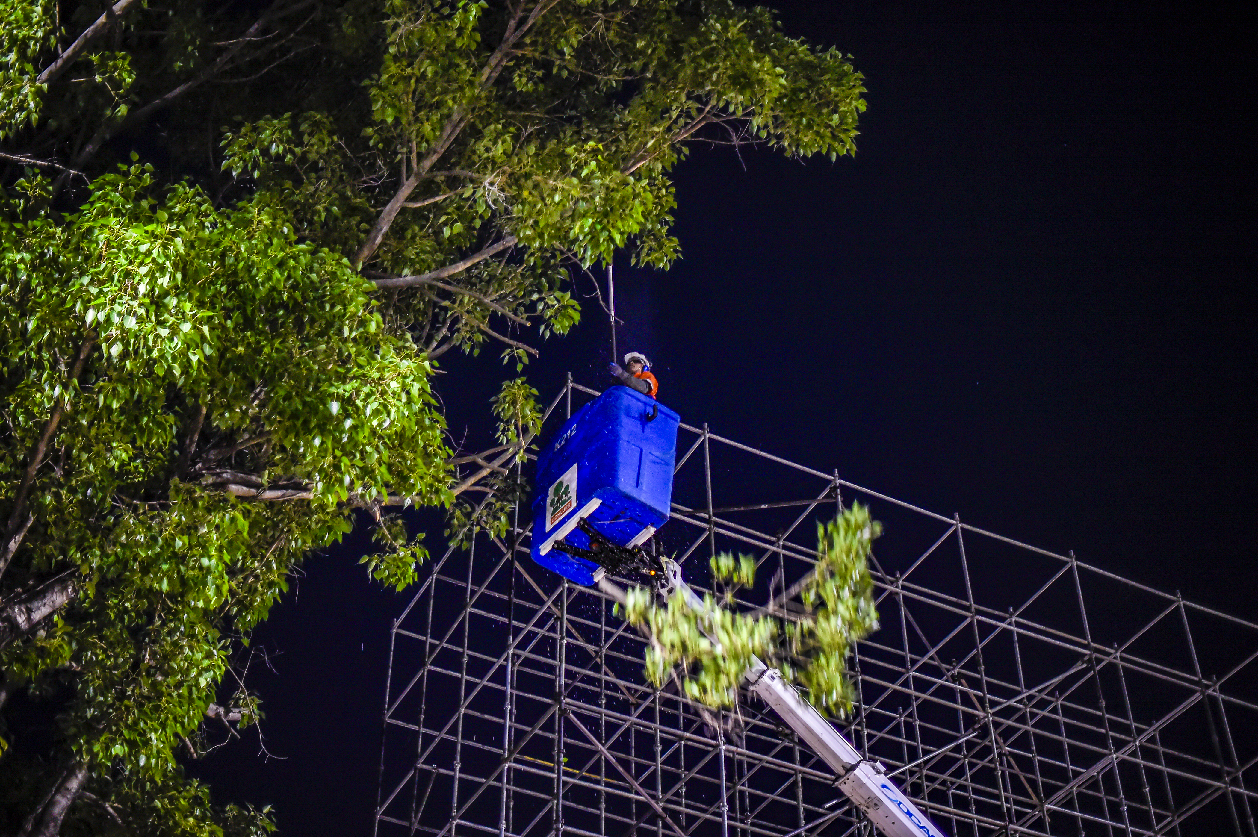 Comlurb realiza poda preventiva para evitar acidentes entre galhos de árvores e carros alegóricos