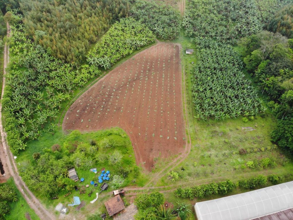 Distrito da zona sul paulistana é exemplo de produção orgânica e abastecimento local