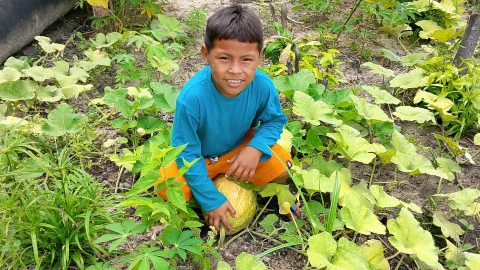 Com financiamento do FIDA, projetos liderados por comunidades indígenas fortalecem a proteção florestal e a soberania alimentar na Amazônia