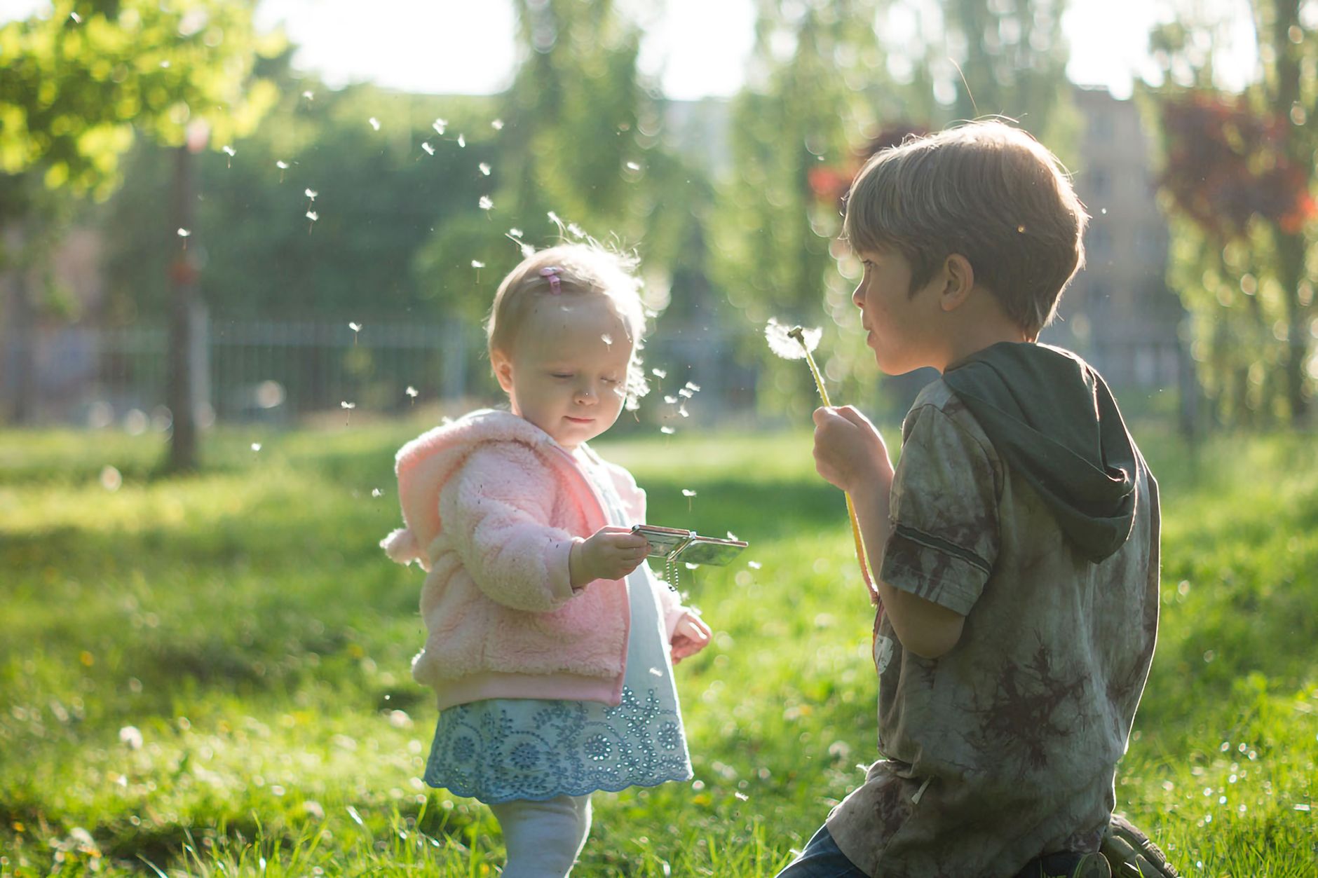 a boy in gray shirt blowing a dandelion near the young girl in pink jacket